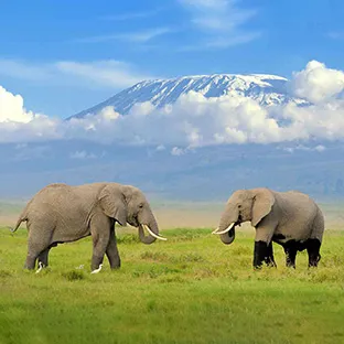Kenya