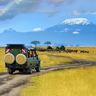 Tanzania 