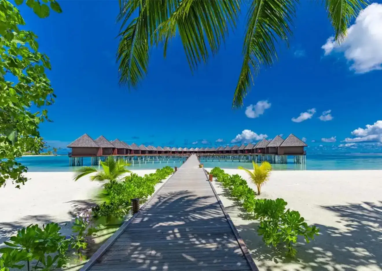 hotel-img